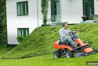 Essential Summer Lawn Care Guide
