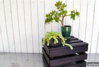 Stain Your Wood Projects Perfectly Every Time
