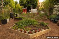 Harvest Savings with Organic Gardening