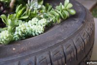 Tire Transformation: A Succulent Sanctuary