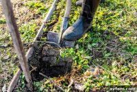 Avoid Foundation Issues: Consult Your Zip Code’s Frost Line