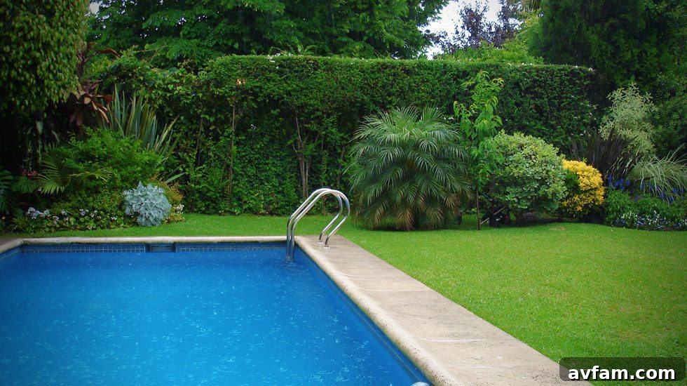 featured 15447