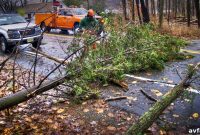 Safe Storm Cleanup Essentials