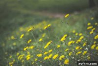 Transform Your Home into an Allergy-Free Zone
