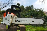 Into the Verdant Chaos