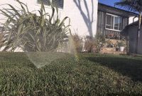 Master Your Watering with the Rachio 3 Smart Sprinkler