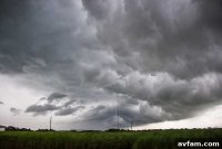 Weathering the Storm Behind the Wheel