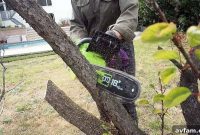 Mastering Tree Felling with an Electric Chainsaw