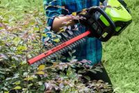 Greenworks Hedge Master