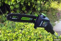 Cut Tall Hedges Down to Size with a Cordless Pole Saw