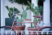 My Desert Love Affair: Why Tucson Captured My Heart