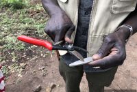 Felco Tools Cultivates Change with African Women Rising
