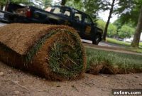 Spring Sod Installation Guide