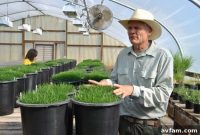 The Grass Seed Capital Source of Global Greenery