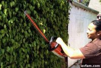 STIHL HSA 65 Cordless Hedge Trimmer Unplugged Excellence