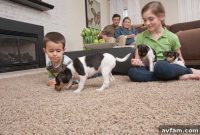 Mohawk Flooring Earth Friendly and Pet Safe