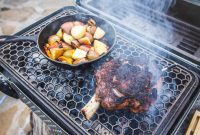 Nomad Grill: Portable Flame, Timeless Flavor