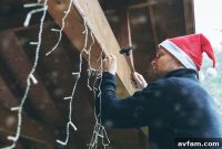Your Werner Ladder More Than Just for Christmas Lights It’s for Life’s Little Lifts