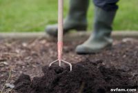 Your Garden’s Secret Weapon: Unveiling Mulch’s Astonishing Perks