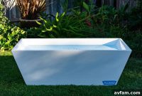 The Cold Plunge Effect Unlocking Your Health Potential