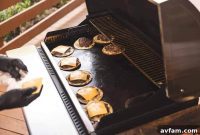 Recteq SmokeStone 600: Igniting Wood-Fired Flavor