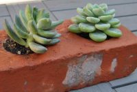 Craft Unique Succulent Planters from Bricks