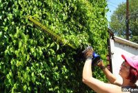 Your Best Yard Yet: Spring Through Summer