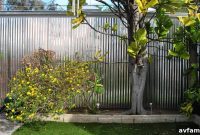 Create Your Private Backyard Oasis