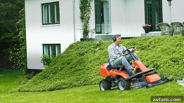 summer-lawn-tips