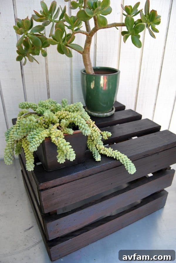 olympic-wood-stain-project