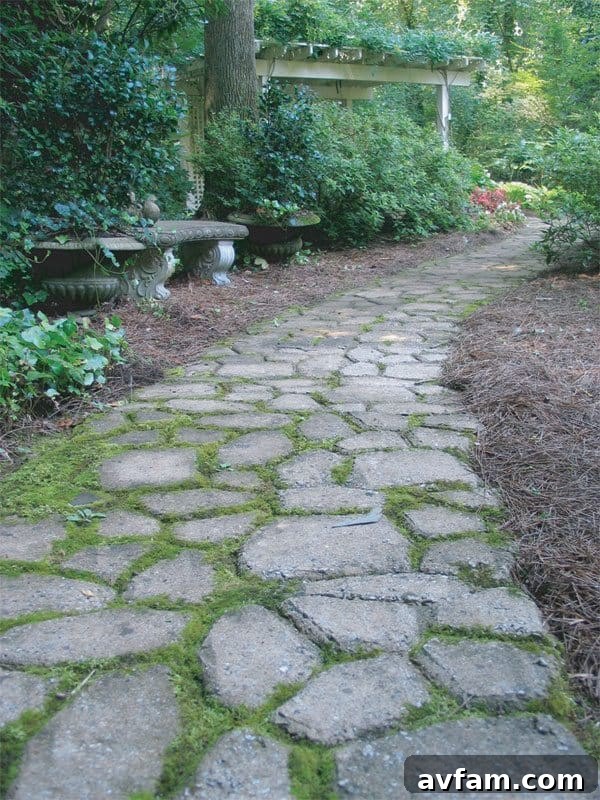 A completed Quikrete Walk Maker pathway featuring the Country Stone design, seamlessly blending into a vibrant garden