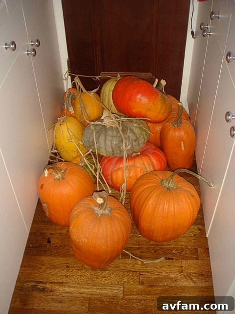 A collection of gothic and vintage Halloween props, including skulls and candles, artfully arranged on a shelf or mantelpiece.