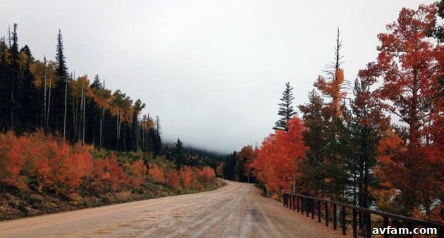 fall-colors-utah