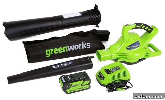 greenworks-blower-vac-kit