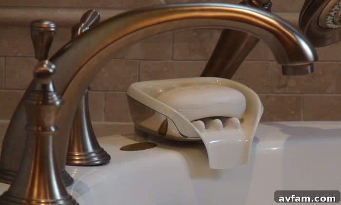 img 11537 1