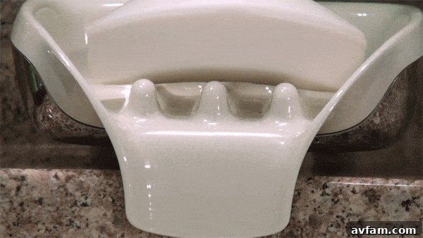 SOAPSEAT with raised bars for dry soap
