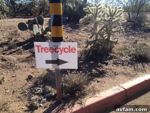 Christmas Tree Treecycle in the Desert