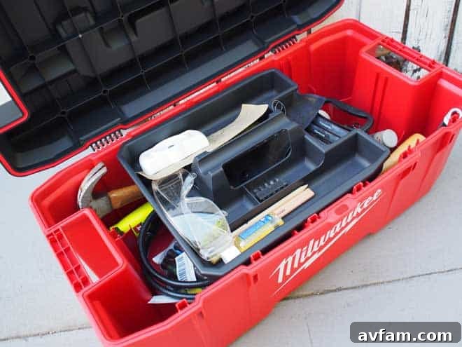Removable Tray for Small Tools tray