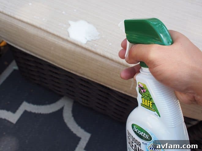 Applying Scotts Outdoor Cleaner Plus OxiClean with a sprayer