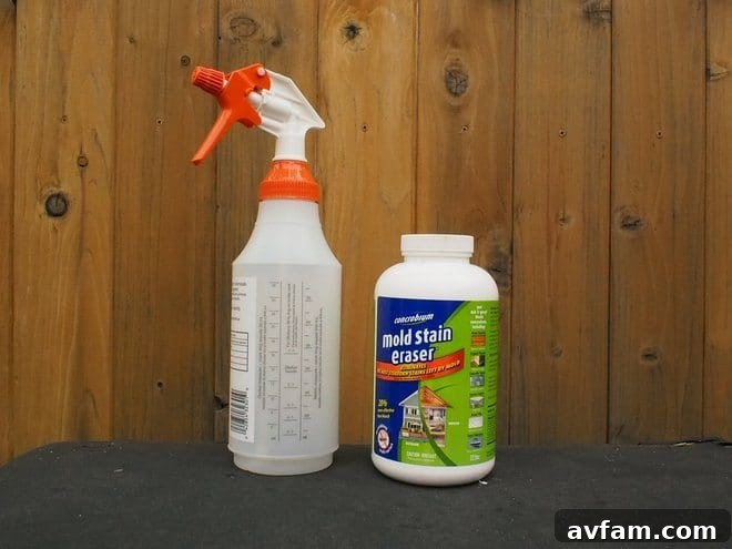 Concrobium Mold Stain Eraser product bottle ready for outdoor cleaning.