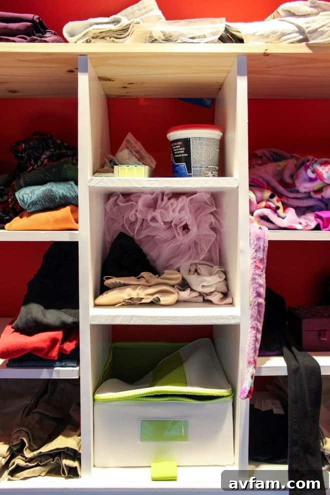 Tools and paint supplies stored on a closet shelf above children's clothes