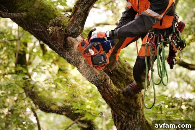 Husqvarna 536Li XP battery chainsaw for professional use