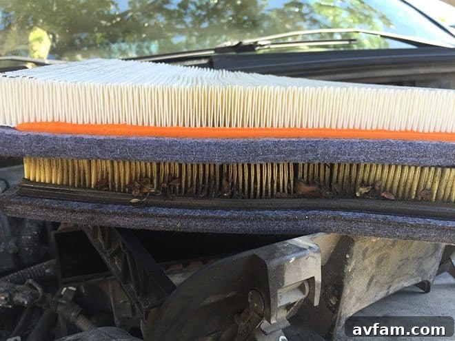 filter - Inspecting a car's air filter
