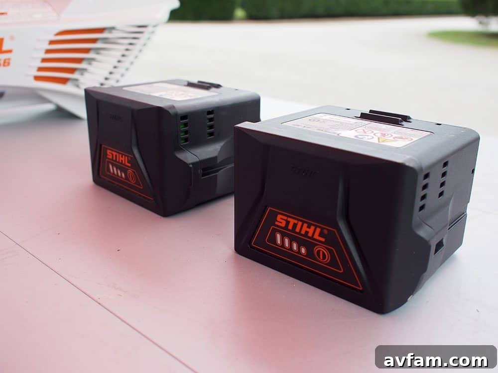 Stihl cordless blower demonstrating its power