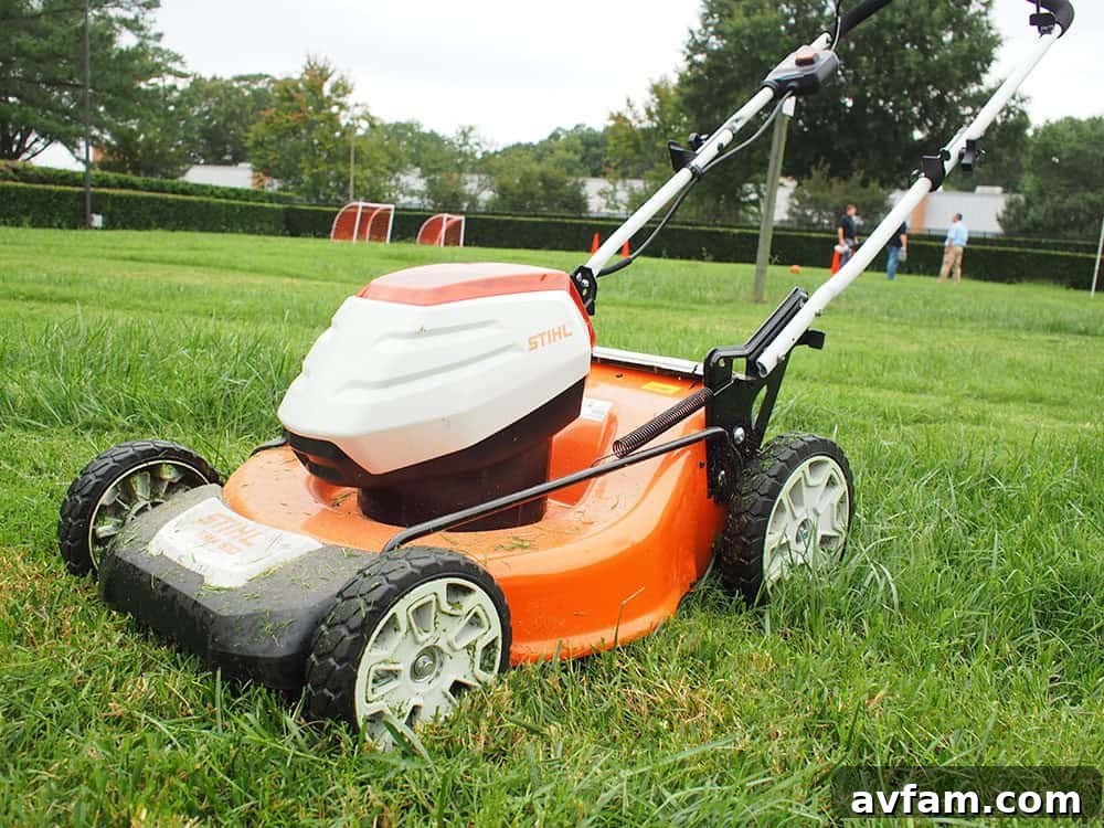 Stihl cordless lawnmower cutting grass