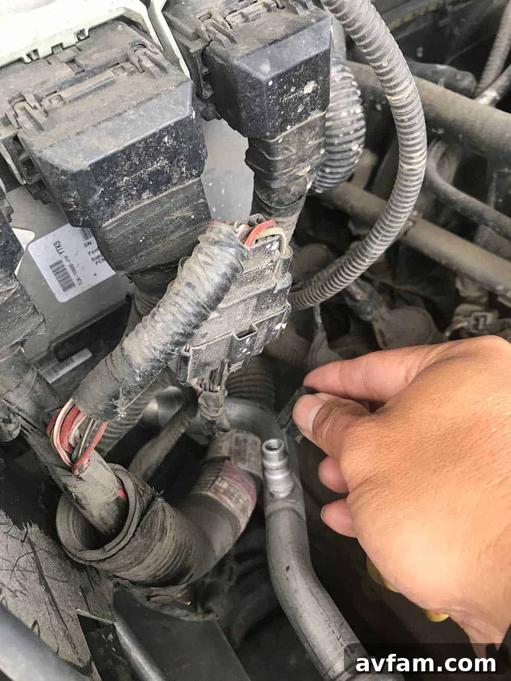 Step 1: Connect the Hose Connecting the A/C Pro hose to the low-pressure port of the vehicle's AC system.