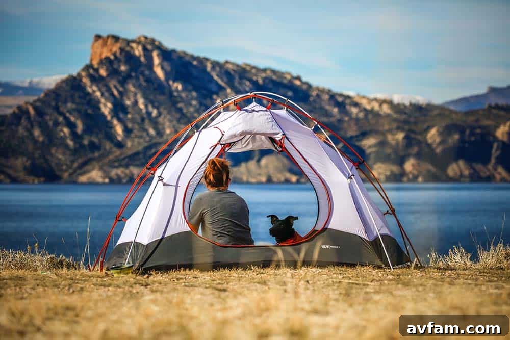 Modern Ground Tent ground-tent