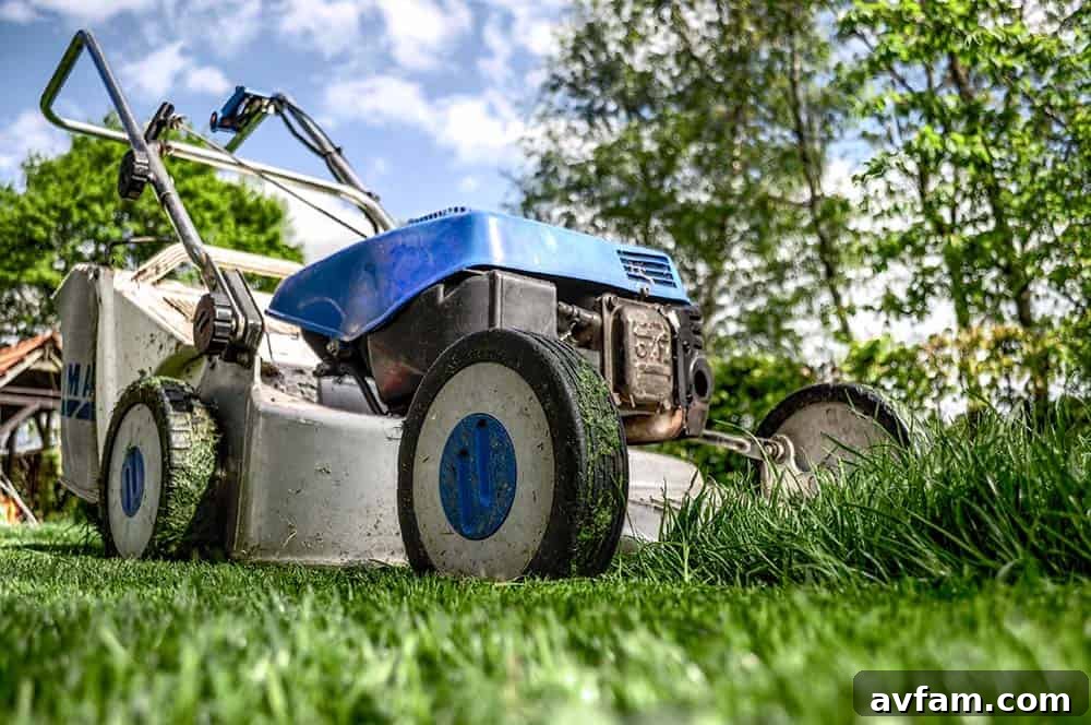 Maintaining a lawnmower, showing its engine for service