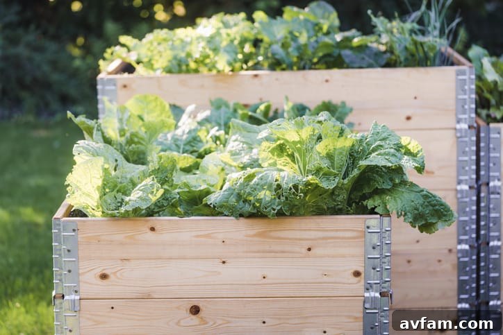 Modern Raised Beds Examples of modern raised garden beds, blending functionality with contemporary outdoor design.