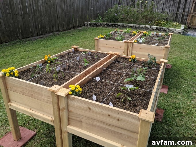 Diverse Planter Designs Collection of raised garden beds, illustrating different heights, shapes, and planting arrangements.